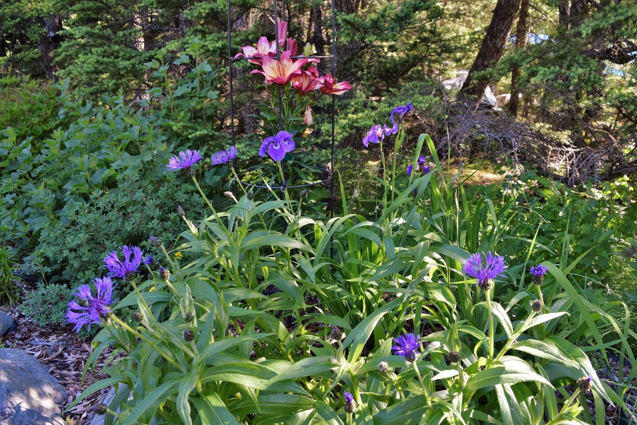 Crow Creek Hotel Girdwood Luaran gambar